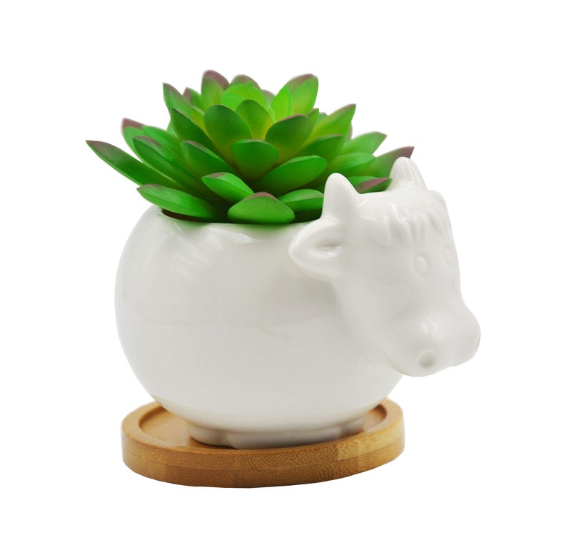 Cuteforyou Succulent Pots,Cute Cartoon Cow Shaped Ceramic Succulent Cactus Flower Pot,Pencil Holders,Desk Accessories, Makeup Brush Storage Stand-Plant Not Included (with Tray) - Image 2